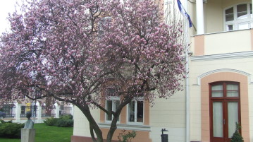 PROLEĆE PRVO STIŽE U ŠABAC