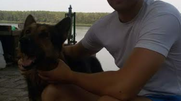Pčelarstvo me opušta, harmonika je moja prva ljubav